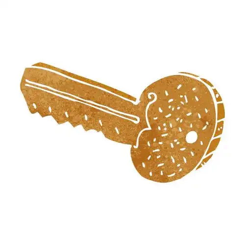 卡通金钥匙,卡通金钥匙