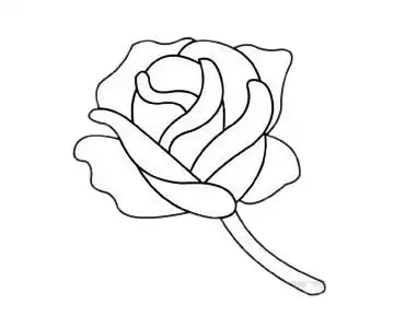美丽的玫瑰花画法教程及简笔画