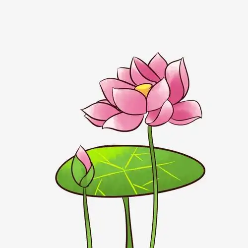 动漫荷花头像荷花的沙雕动漫女头像