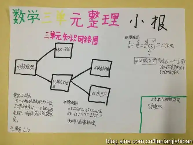 数学小报的内容数学小报的内容里面写什么