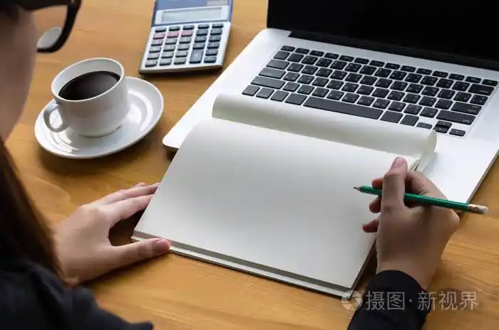 背影的女人的自由职业者正致力于笔记本计算机机智