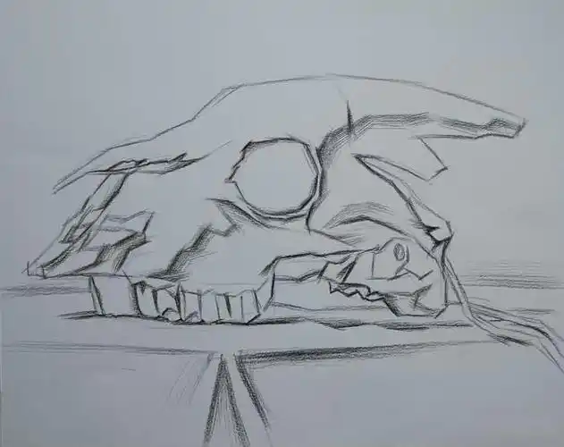 羊头骨素描步骤讲解教程