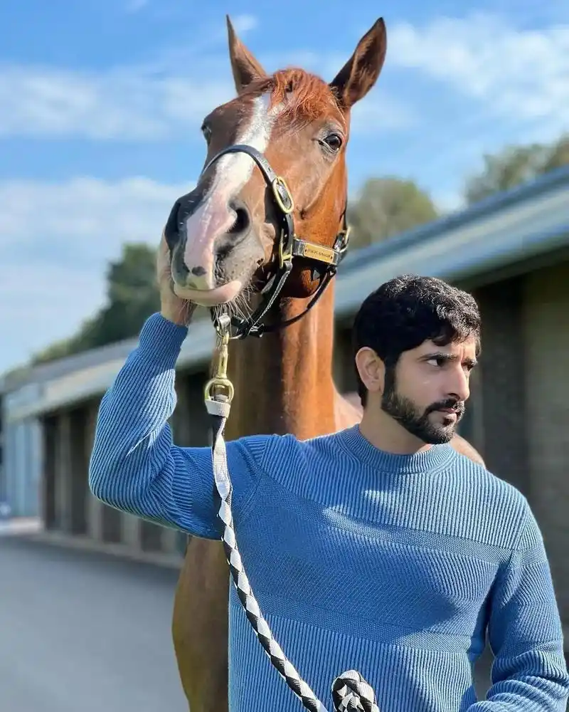 迪拜王子哈曼丹 - 抖音