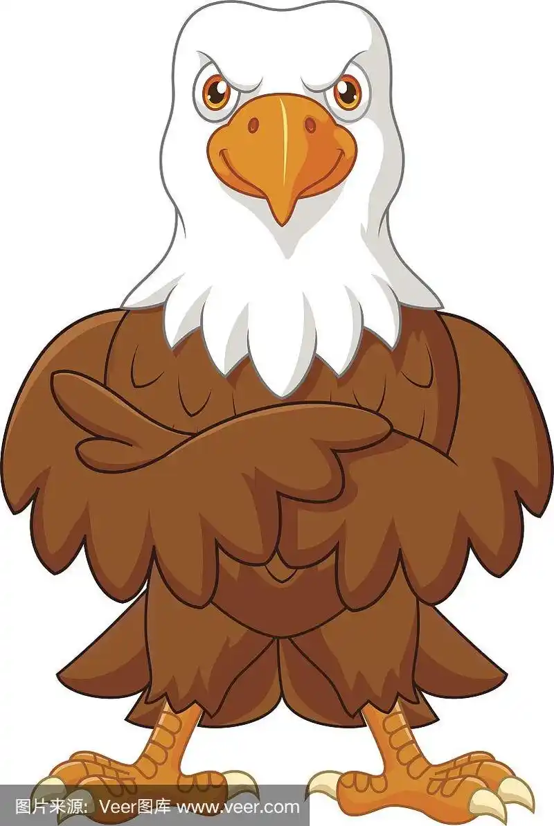 可爱的鹰卡通孤立在白色的背景