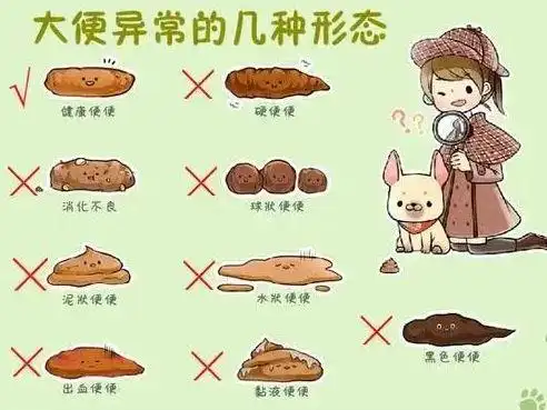 当肠胃消化功能出现紊乱,出现了消化不良的情况,此时也会出现大便不