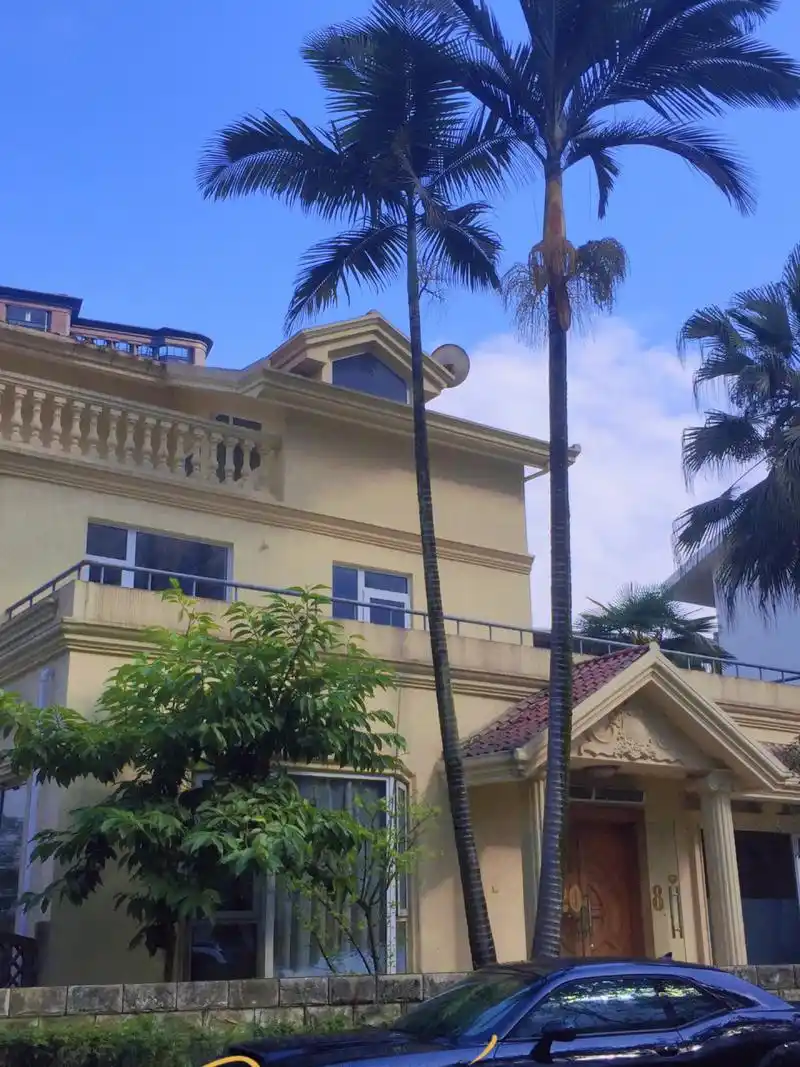 独栋别墅93 ——锦绣花园0909 成都早期富人区桐梓林 产权298平