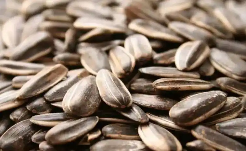 爱嗑瓜子的人要注意!