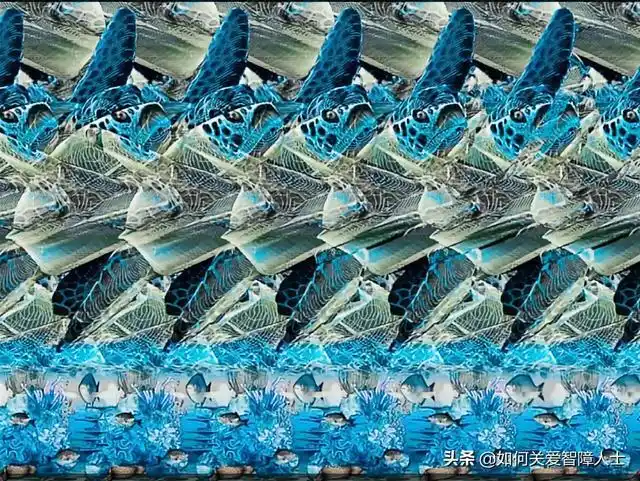 多姿多彩的三维立体图_网易订阅