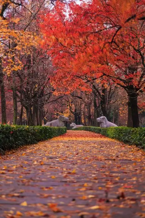 南京明孝陵 - 风光, 长曝光, 佳能, 南京 - 南京明孝陵 - 摄影师one
