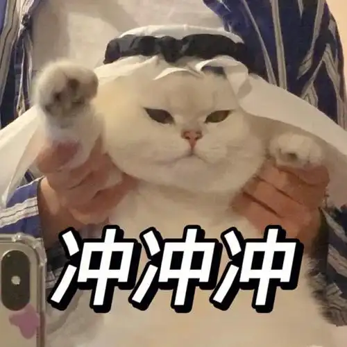 猫猫表情包世界杯版