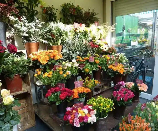 花店鲜花摆放效果图-保驾护航装修网