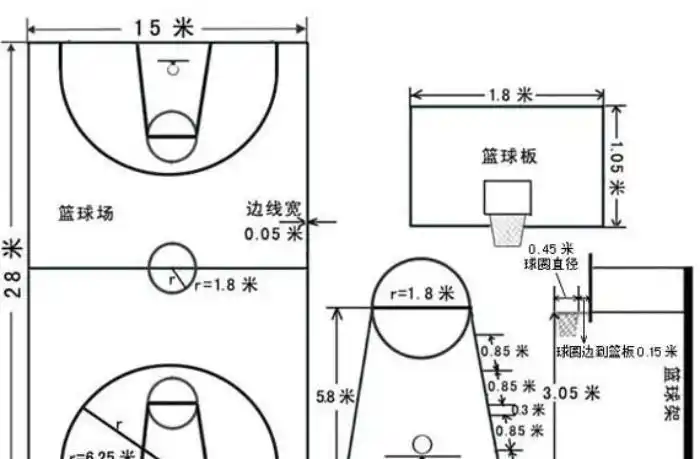 篮球场半场平面装修效果图