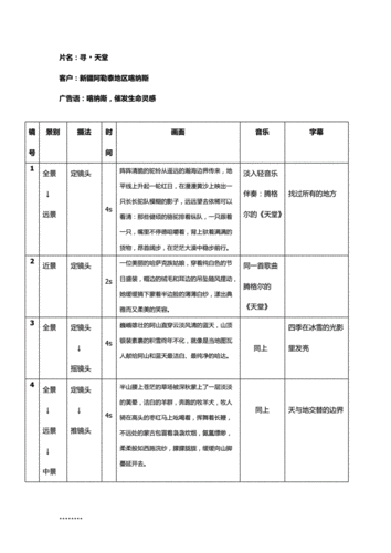 影视广告分镜头脚本模板参考.doc 2页