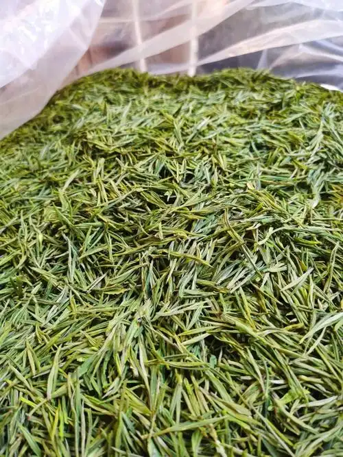 明前核心产区安吉白茶大量上市,自家茶场加工,质量可靠,价格实惠,各个