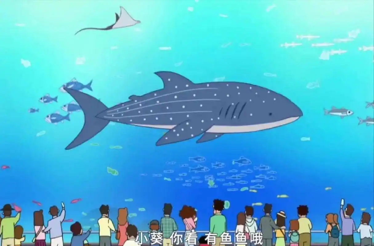 打卡珠海长隆的蜡笔小新同款鲸鲨