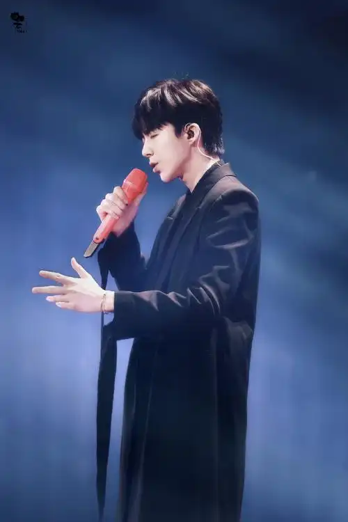 刘宇宁最受欢迎男歌手