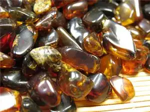 天然抚顺琥珀 精抛光琥珀原矿随形料 养生保健珠宝奇石 可做枕头