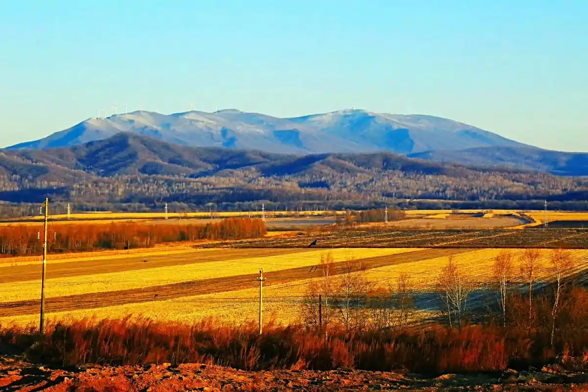 黑土地的丰收景色