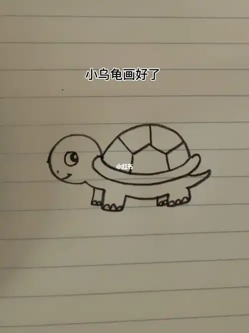 小乌龟简笔画
