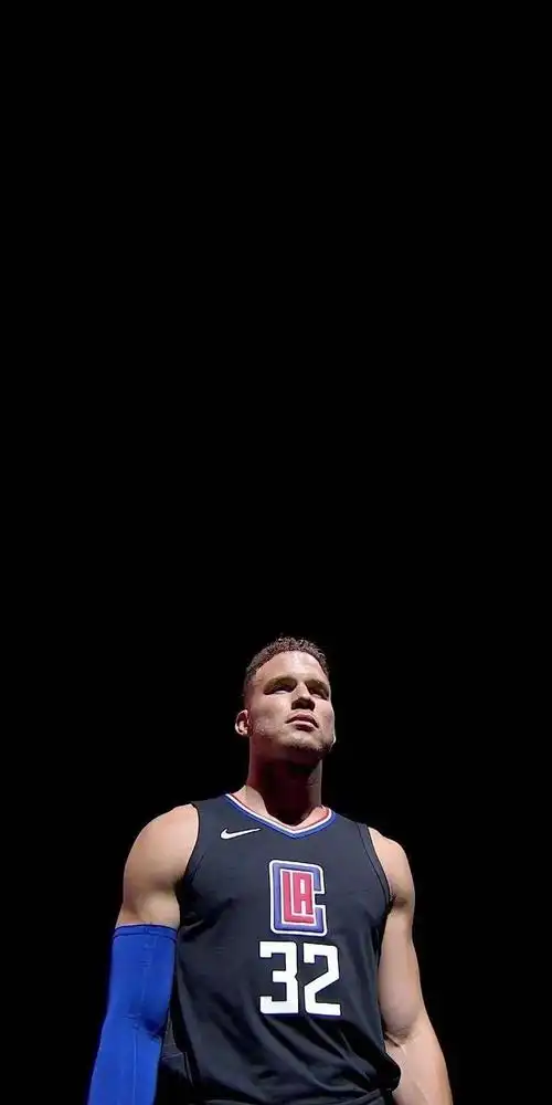 篮球壁纸白兽布雷克格里芬高清大图