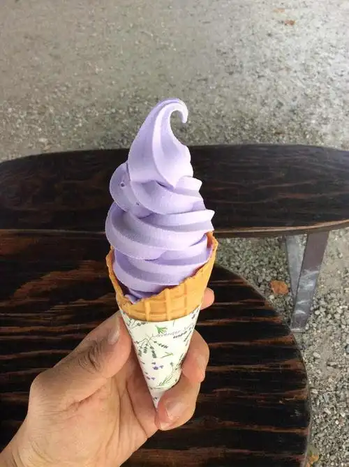 已没人了,两个人随便买了点吃的一直坐了一个小时等到车,累到散架