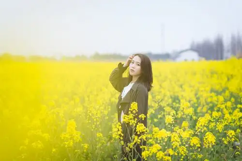 标题:油菜花少女