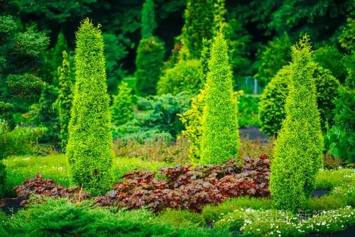 园林景观设计.花坛, 绿树和灌木丛中