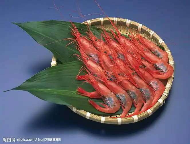 海洋生物海鲜虾图片
