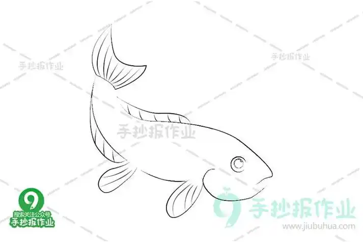 红色锦鲤简笔画今天让我们来一起动手画一个转运红锦鲤鲤鱼的简笔画是