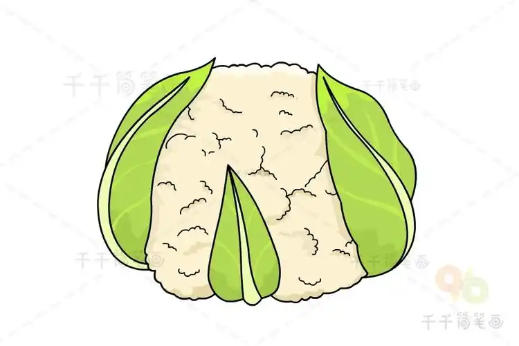 花菜简笔画画法