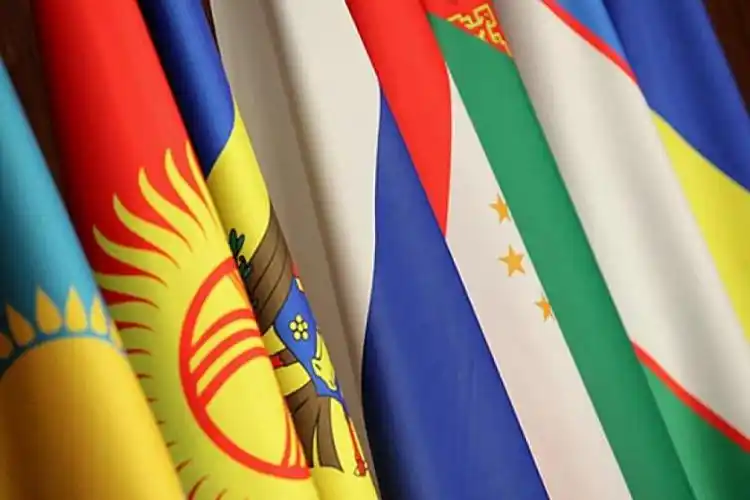 独联体国家冠病确诊总数逼近50万