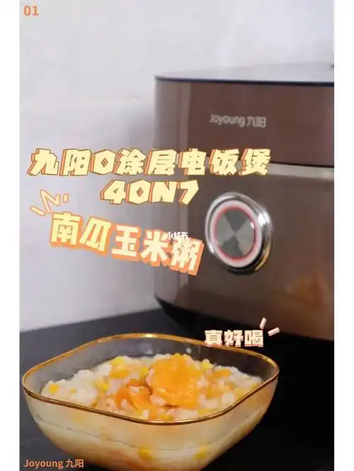 低脂营养,养胃又养生,全家人都爱喝97#九阳0涂层电饭煲40n7  煮粥