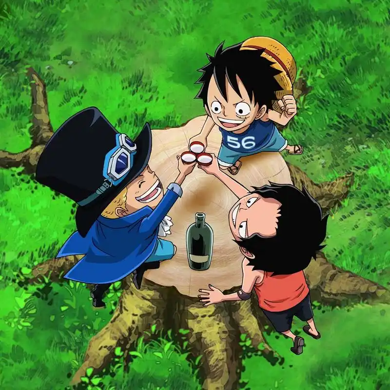 海贼王# 动漫好图分享(三兄弟)