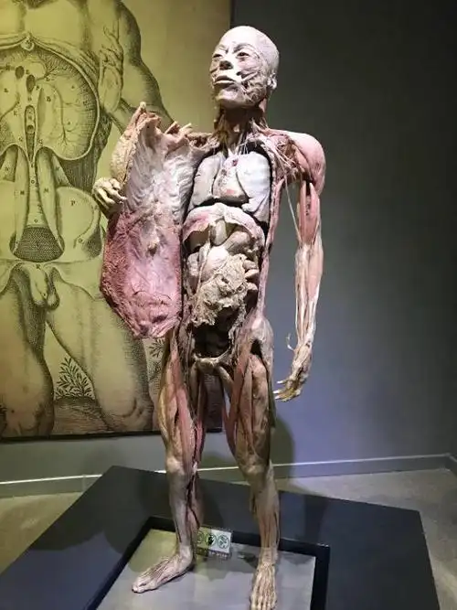 生命奥秘博物馆