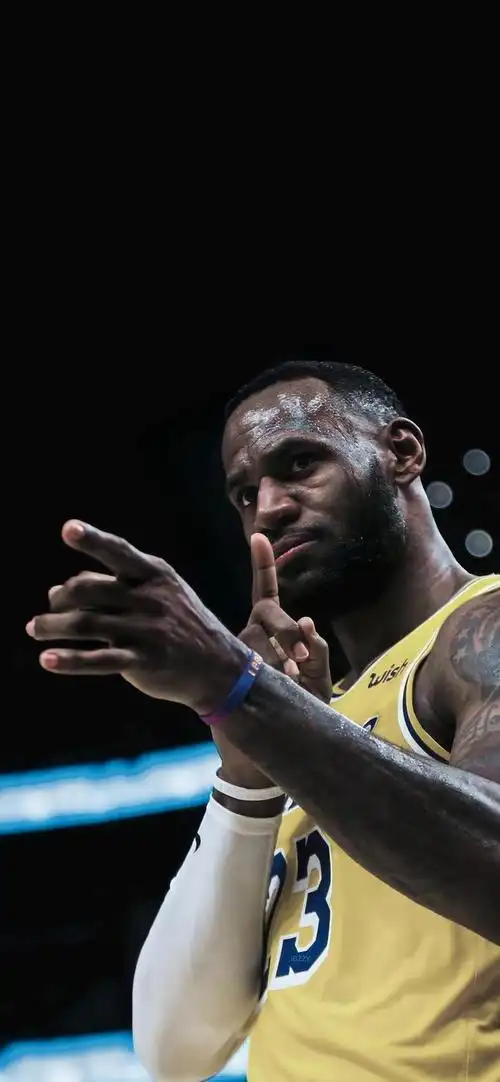 再分享一波詹姆斯手机壁纸部分为4k分辨率可点击下载原图大家喜欢就好