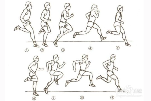 100(50)米跑跑步的技巧和姿势