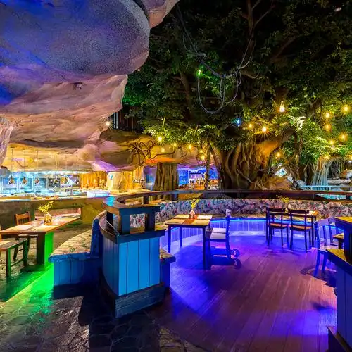 官方直营杭州开元森泊度假酒店雨林餐厅自助酒店餐饮美食新