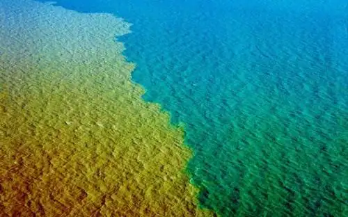 53:33 | 北青网综合 真正的黄河入海口,黄河带着泥沙来到大海,黄蓝相