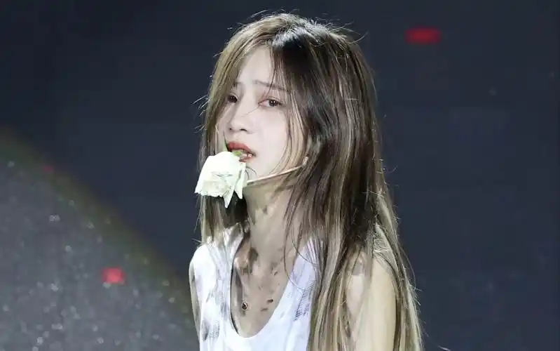 袁一琦,双面偶像