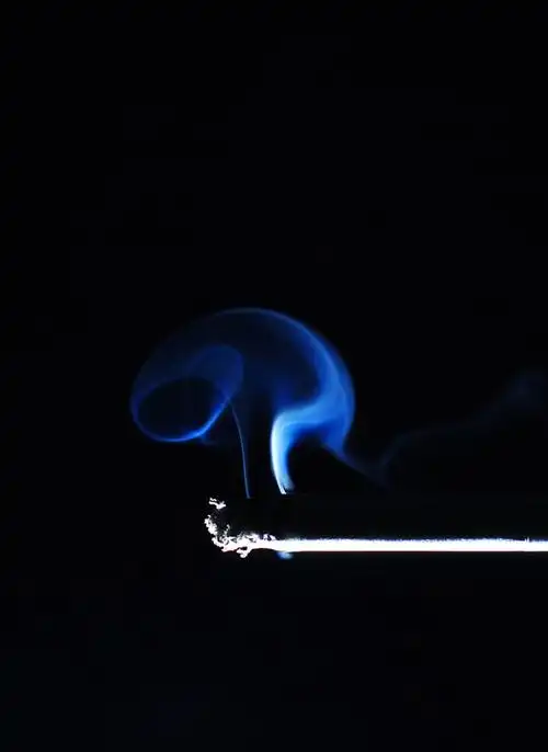 香烟特写:尼古丁的世界