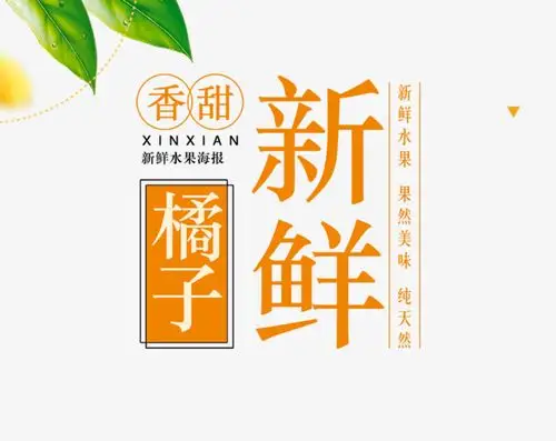 新鲜可口的橙色的橘子