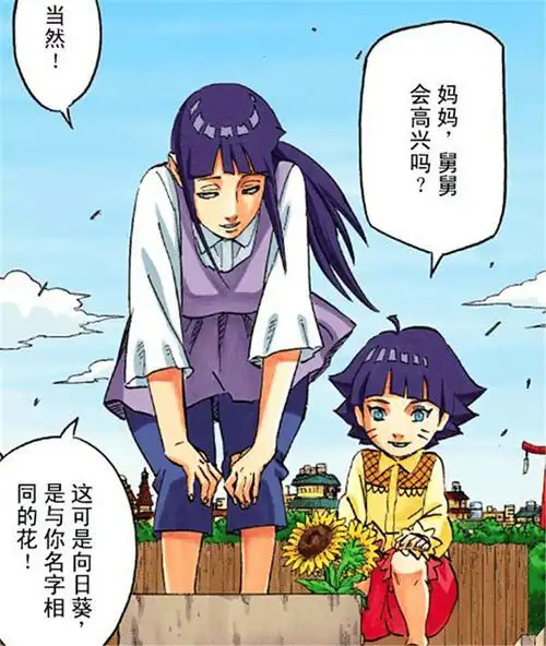 火影中日向宁次死后被想起的6次:雏田永远忘不了,博人直接见面