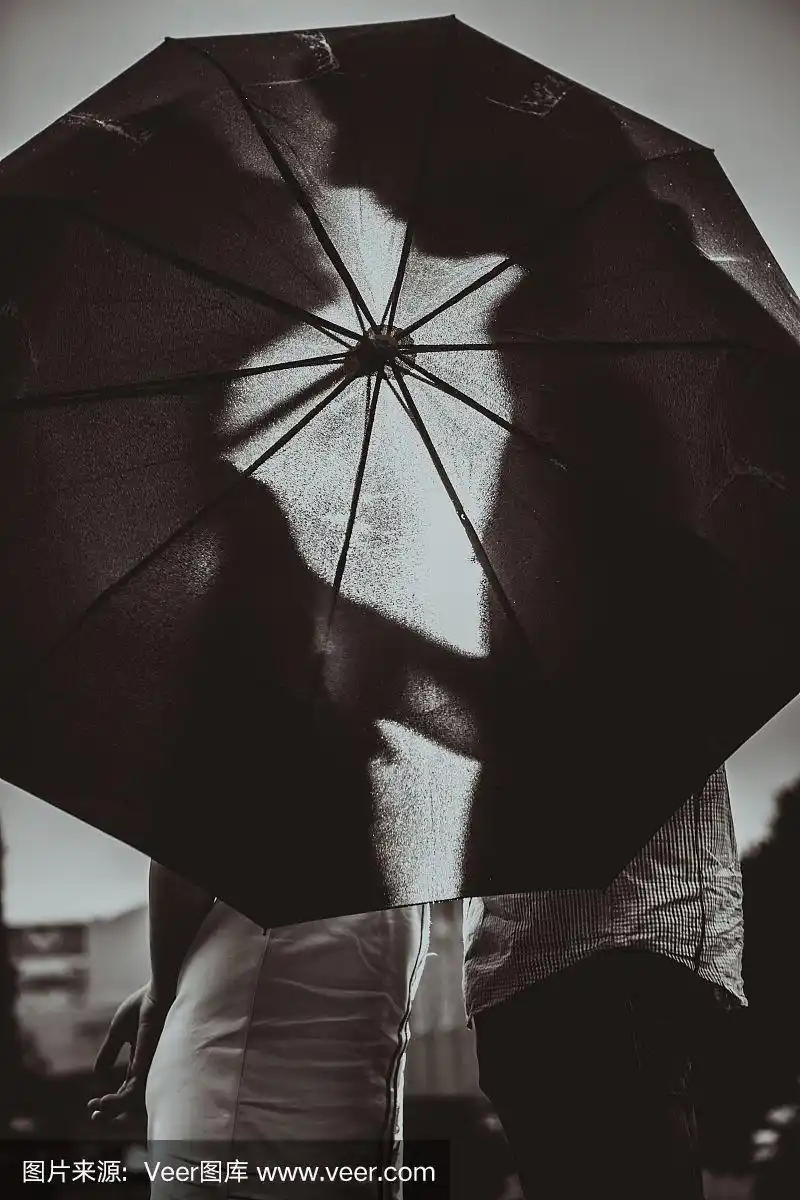 雨中的爱情伞下接吻情侣的剪影