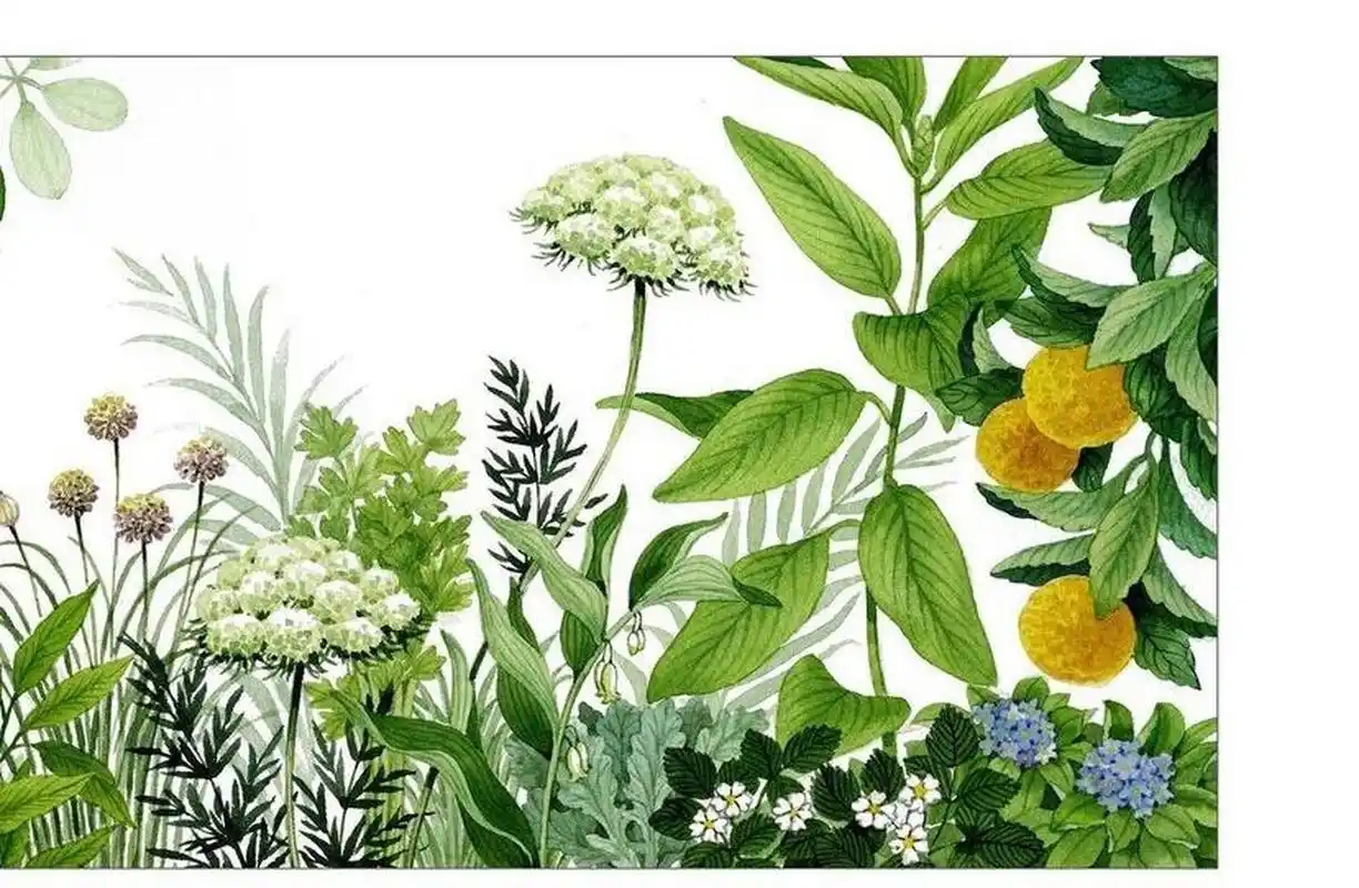 植物小清新墙绘壁画-附设计图 植物无论画在哪个空间都超级合适78