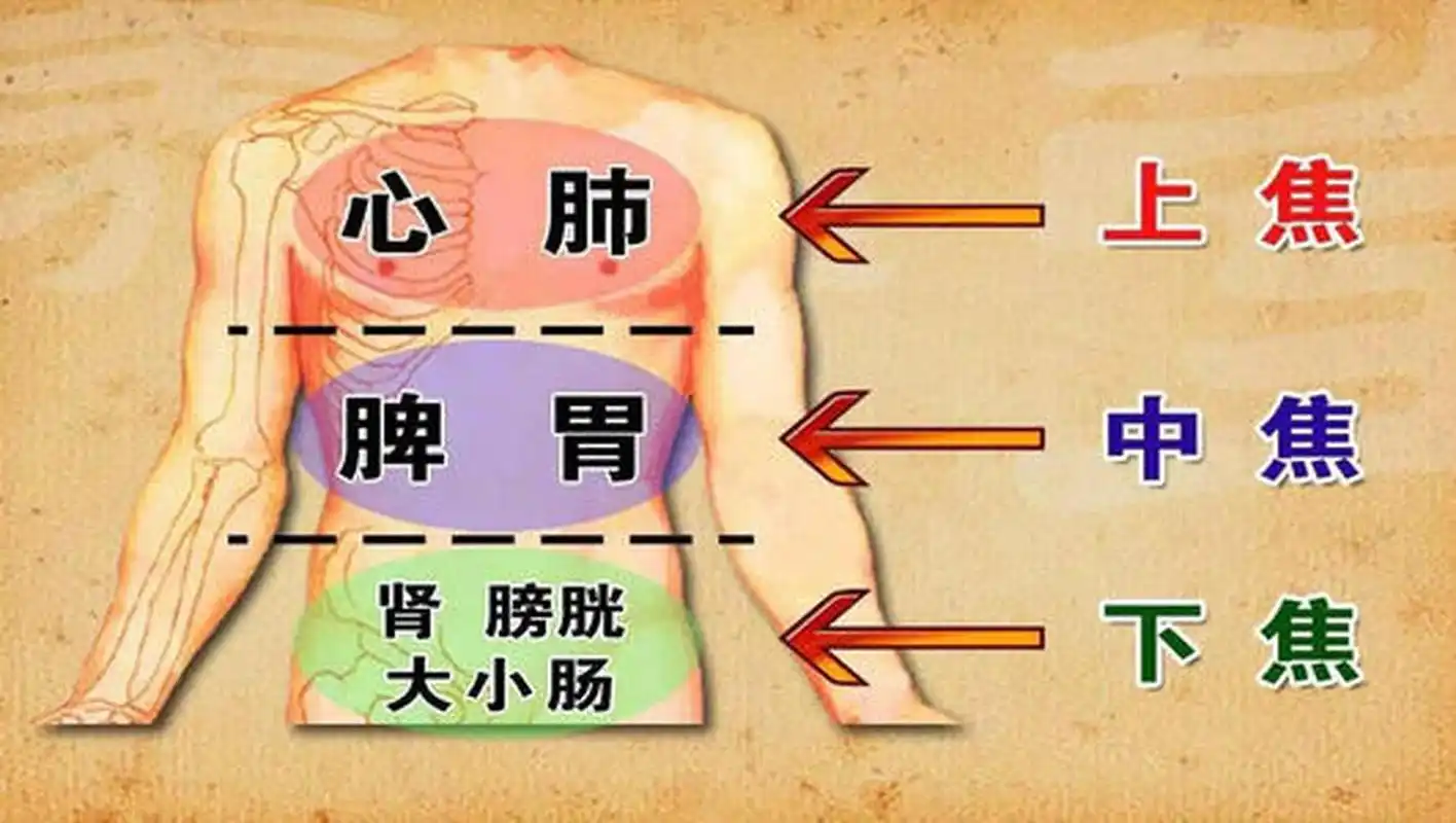 三焦用药法  上焦主胸中,膈中,橘红,蔻仁是宣畅胸中主药,枳壳,桔梗是