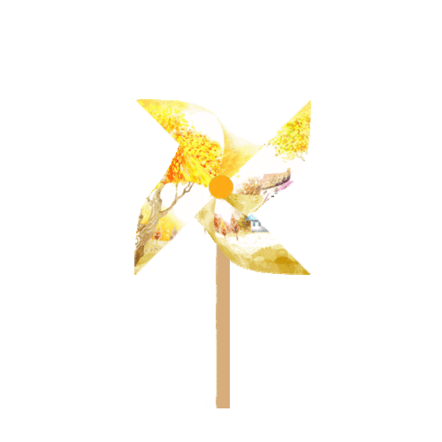 大风吹过,风车旋转不停.小朋友们都非常喜欢.