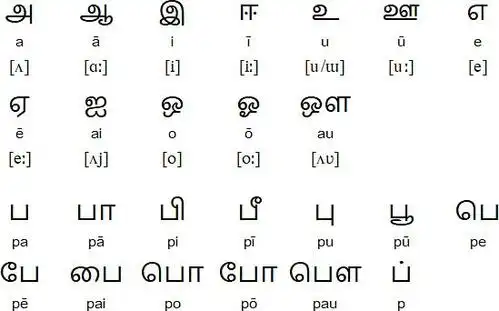 它们不被视为标准泰米尔语字母的一部分.