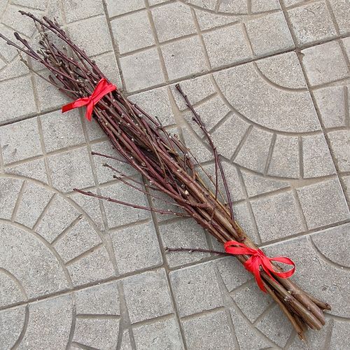 镇宅老桃木桃枝婴儿孕妇宝宝惊吓啼哭护身桃树枝挂件野生桃花枝