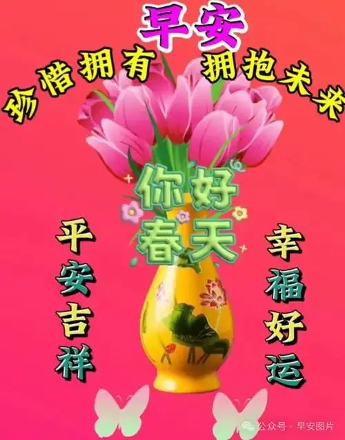 2024年3月15日星期五最新早安漂亮问候祝福图片大全|快乐|清晨|幸福