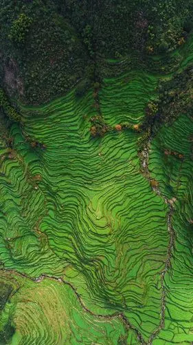 无人机拍摄的照片